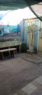 PATIO.1.jpg